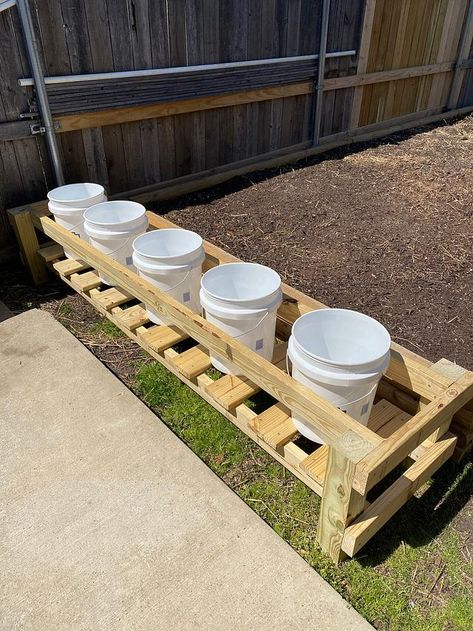 How To Build A 5 Gallon Bucket Garden, 5gallon Bucket Garden Stand, Five Gallon Bucket Garden Stand, Bucket Planter Stand, 5 Gallon Bucket Planter Ideas, Bucket Gardening 5 Gallon, Raised Container Garden, Plant Beds, Bucket Garden