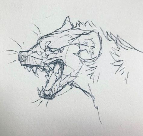 Hyena Teeth Reference, How To Draw Hyena, Hyena Art Drawings, Deer Nose Drawing, Hyena Side Profile, Dog Side Profile Drawing, Hyena Anatomy, Hyena Sketch, Hyena Furry Art