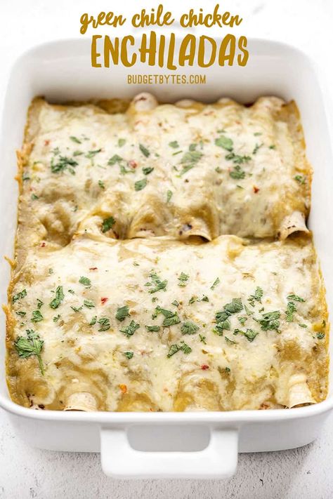 Green Chile Chicken Enchiladas, Green Chile Chicken, Pre Cooked Chicken, Soy Free Recipes, Chicken Enchilada Recipe, Easy One Pot Meals, Egg Free Recipes, Enchilada Recipes, Quesadillas