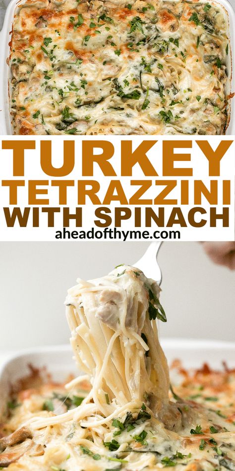 Creamy leftover turkey tetrazzini with spinach is a simple, easy and delicious recipe that is comforting, creamy and cheesy. Cooked turkey and spaghetti is tossed into a creamy spinach and mushroom sauce and then baked with mozzarella cheese on top until golden brown. This casserole pasta dinner is a family favourite, perfect for busy weeknights. Plus, to make things even easier, you can make this freezer friendly meal ahead of time. | aheadofthyme.com #tetrazzini #leftover... via @aheadofthyme Turkey Tetrazini, Turkey Alfredo, Casserole Pasta, Mushrooms Food, Turkey Tetrazzini, Spinach And Mushroom, Turkey Pasta, Slow Cooker Turkey Breast, Shredded Turkey