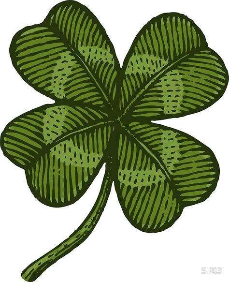 Vintage green lucky four-leaf clover Clover Painting, Four Leaf Clover Tattoo, Clover Tattoos, 4 Leaf Clover, 4 Leaves, Four Leaves, Lucky Clover, Four Leaf, Leaf Clover