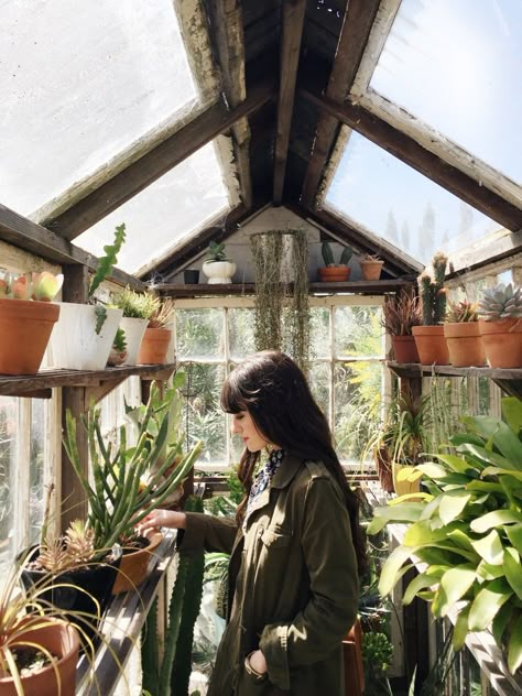 A Woman, Plants