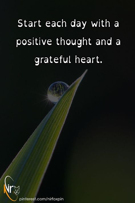 Start each day with a positive thought and a grateful heart. A Positive Thought, Positive Thought, Grateful Heart, Each Day, Positive Thoughts, Motivational Quotes, Quotes