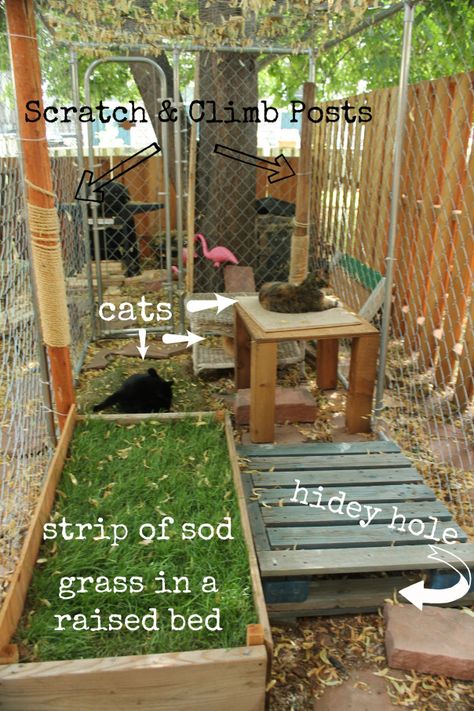 DIY catio and lots of other ideas Dog Kennel Cat Enclosure, Cat Rooms Outdoor, Cat Runs Enclosure, Barn Cat House, Diy Cat Patio, Cat Outside Enclosure, Cat Enclosure Outdoor, Catio Ideas, Diy Cat Enclosure