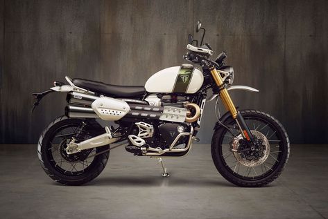 This Is the Motorcycle the Triumph Scrambler Always Should Have Been Triumph 1200, Triumph Street Scrambler, Triumph Bikes, Bike Prices, Triumph Scrambler, Indian Motorcycles, British Motorcycles, Cafe Racer Build, Scrambler Motorcycle