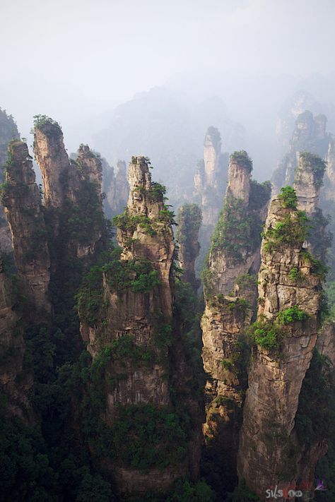 nature at Zhang Jia Jie, China (?) Hunan China, Zhangjiajie, Art Chinois, Chinese Landscape, Scenery Nature, Futuristic City, Incredible Places, Beautiful Place, Magical Places