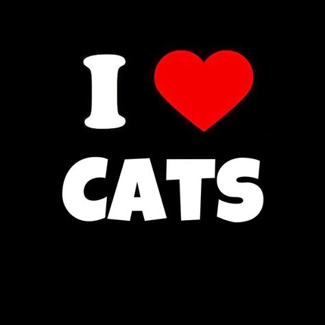 Cats Pfp, Heart Cats, Love Profile Picture, Cats Black, I Love Cats, Black Backgrounds, Cute Wallpapers, Profile Picture, I Love