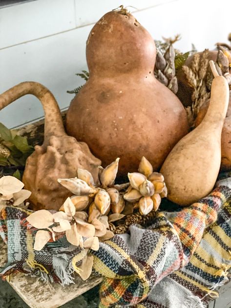 Large gourd over scarf Dough Bowl Decor Ideas, Bowl Decor Ideas, Fall Dough Bowl, Dough Bowl Decor, Everyday Centerpiece, Dried Gourds, Bowl Decor, Fall Stem, Decorative Gourds