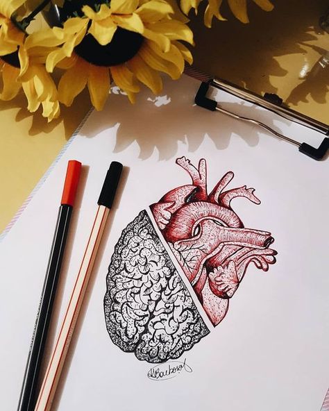 Heart And Brain, Perfect Tattoo, Drawing Eyes, Drawing Hair, Disney Tattoo, Daisy Painting, Drawing Faces, Desenho Tattoo, Human Heart