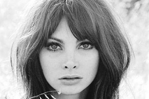 Toni Basil 1966 - cutest hair! 60s Bangs, Toni Basil, 1960s Hair, 60s Hair, 70s Hair, Super Duper, Hair Envy, Shoulder Length Hair, White Photo