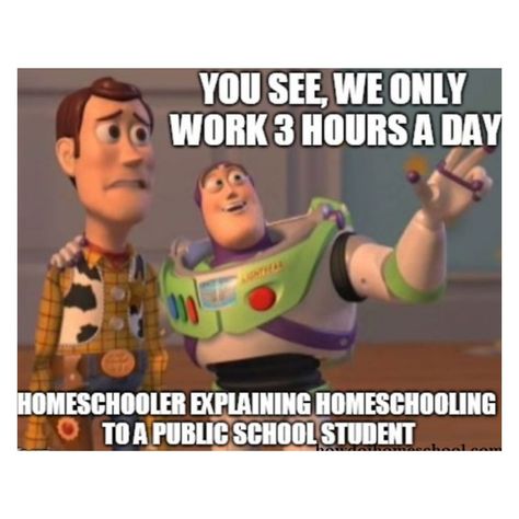 Homeschool Memes Humor, Funny Homeschool, Homeschool Humor, Kids Meme, Homeschool Quotes, Homeschool Kids, Relatable Stuff, Random Memes, Really Funny Memes