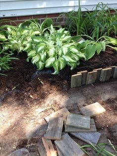 Pallet wood cut in short pieces make a great flower bed border. Wood Landscape Edging, Landscape Edging Stone, Flower Bed Edging, Wooded Landscaping, Landscape Edging, Lawn And Landscape, Pallet Garden, Have Inspiration, Garden Edging