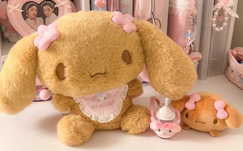 Mocha Plush, Sanrio Items, Totoro Plush, Sanrio Plush, Cute Toys, Cute Plush, Room Aesthetic, Birthday Wishes, Mocha