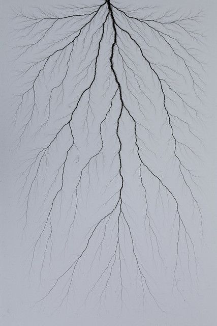 Lichtenberg Figures Tattoo, Color Inversion, Lichtenberg Figures, Optical Illusion Tattoos, Illusion Tattoos, Optical Illusion Tattoo, Heart Graphics, Art Noir, Learn Art