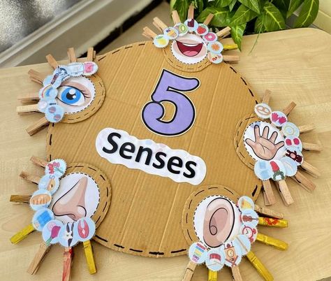 Senses Projects For Preschool, Five Senses Preschool Sensory Table, 5senses Crafts Preschool, Our 5 Senses Preschool, Five Senses Projects For Kids, 5senses Activity, 5 Senses Activity For Preschoolers, My Five Senses Preschool Crafts, My 5 Senses Preschool Activities