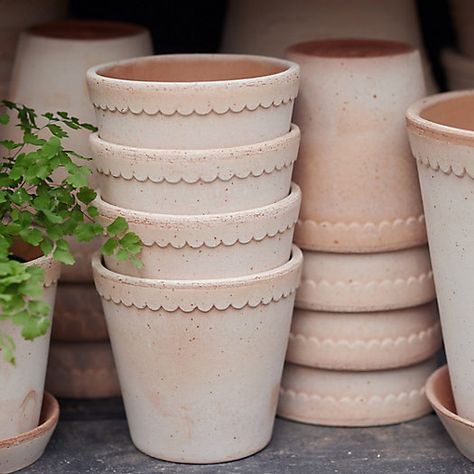 Terracota Decor, Potting Area, Green Flower Pots, Large Terracotta Pots, Pots Garden, Dollhouse Garden, Terracotta Plant Pots, Garden Aesthetic, Cactus Y Suculentas