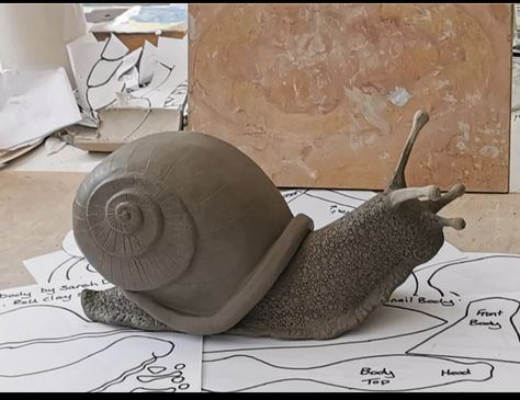 Snail Sculpture, Big Bugs, Animal Pottery, Snail Art, Plastic Folders, Snail Shell, Instructional Video, Mud Room, Teaching Tools