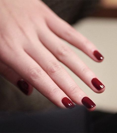 Burberry Oxblood No.303 Oxblood Nails, Classy Nail Designs, Spring Nail Colors, Her Nails, Red Nail Polish, Toenail Fungus, Red Nail, Nail Designs Spring, Classy Nails