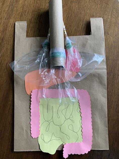 Help your child understand how the inside of our bodies work with this interactive internal organs bag! Internal Organs Activity, Math Card Games, Internal Organs, Our Body, Card Games, Science, The Unit