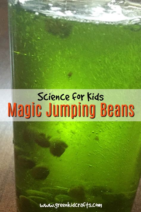 Magic jumping beans science experiment for kids. Trick your audience into believing you can make beans jump around in a glass filled with only water! Magic tricks for kids. Mexican Jumping Beans Experiment, Mexico Science Preschool, Dancing Beans Science Experiment, Jumping Beans Science, Mardi Gras Science Experiments, Cinco De Mayo Science For Preschool, Magic Crafts For Toddlers, Mexican Jumping Beans, Magic Activities For Preschoolers