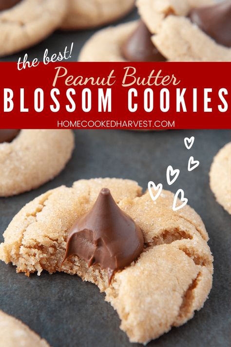 Soft And Chewy Peanut Butter Blossoms, Pb Blossom Cookies Easy, Peanut Butter Blooms Cookies, Pb Blossom Cookies, Peanut Blossom Cookies, Eggnog Dessert, Peanut Butter Blossom, Christmas Cookie Exchange Recipes, Fair Foods