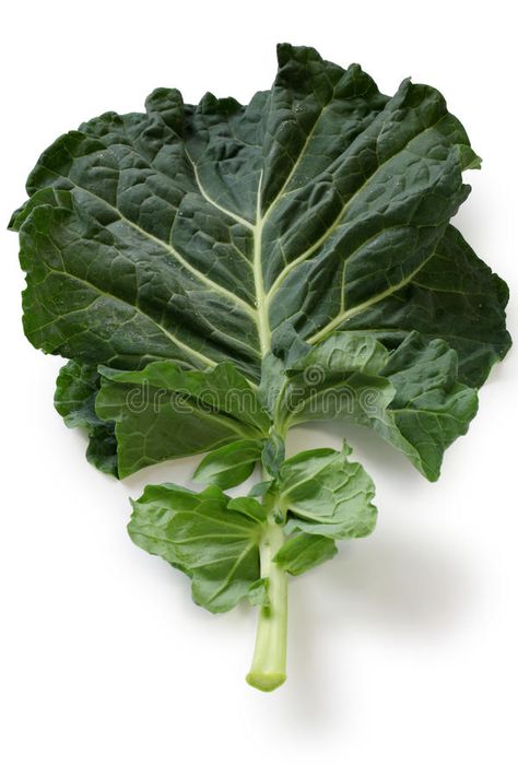 Kale Kale, Nutritious Vegetables, Most Nutritious Vegetables, Kale Leaves, Introduce Yourself, Bountiful Harvest, Healthy Vegetables, Salad Bar, Background White