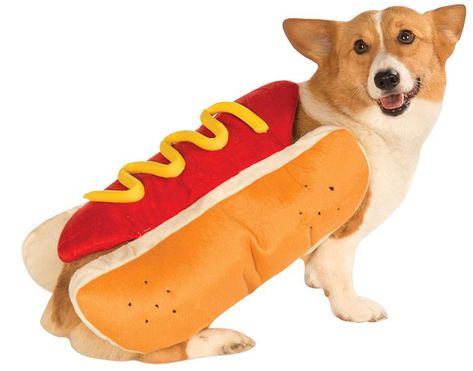 Hot Dog Suit, Adjustable Clothing, Hotdog Costume, Cat Dressed Up, Cat Dress, Pet Halloween Costumes, Pet Dress, Dog Halloween Costumes, Fantasias Halloween