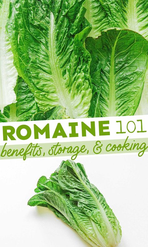 How To Keep Romaine Lettuce Fresh, How To Store Romaine Lettuce In Fridge, How To Clean Romaine Lettuce, Romane Lettuce Recipes, How To Wash Romaine Lettuce, How To Keep Romaine Lettuce Fresh Longer, Storing Romaine Lettuce In Fridge, Lettuce Benefits, Romaine Lettuce Recipe