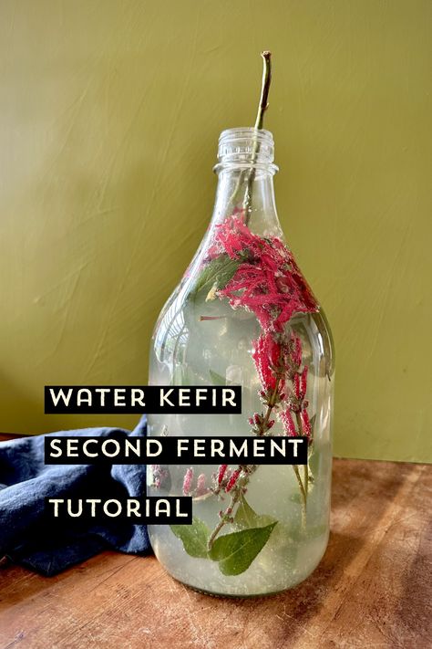 A large bubbly bottle of water kefir. It sits upon a wooden table against a moss green background. Plunged into the bottle is a branch of flowering pineapple sage. Kefir Flavors, Kefir Water, Kitchen Apothecary, Flavour Combinations, Water Kefir, Fermenting, Kefir, Blank Canvas, Apothecary