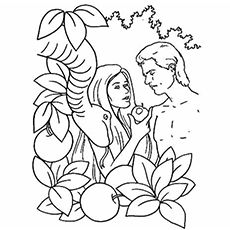 Have you ever told your child about Adam and Eve? No? Here we bring you the story of the first people with these free printable Adam and Eve coloring pages. Adam And Eve Bible, Free Bible Coloring Pages, Creation Coloring Pages, Sunday School Coloring Pages, Garden Coloring Pages, School Coloring Pages, Bible Coloring Pages, Bible Coloring, Easy Coloring Pages