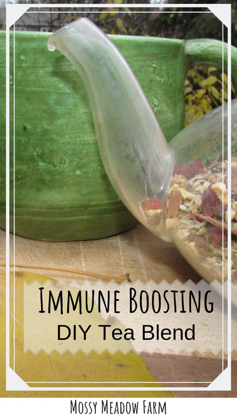 Immune Boosting Tea, Nose Ideas, Echinacea Tea Benefits, Echinacea Benefits, Echinacea Tea, Diy Tea, Medicinal Tea, Immune Boosting Foods, Healing Tea