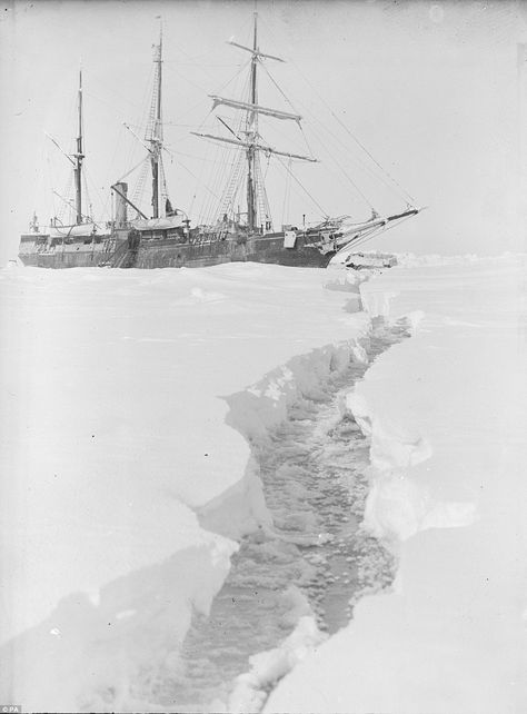 Frozen: After the ship sank into the Weddell Sea in the Antarctic, the crew were left stranded in make-shift camps on the ice for months Polar Exploration, Ernest Shackleton, Unseen Images, Old Sailing Ships, South Georgia, Canoes, Book Fair, 3d Modelling, British History