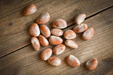 jackfruit seed on a wooden background from ripe jackfruit fruit Jackfruit Plant, How To Cook Jackfruit, Ripe Jackfruit, Jackfruit Seeds, Wooden Background, Planting Seeds, Nutrition Tips, Seeds, Easy Meals