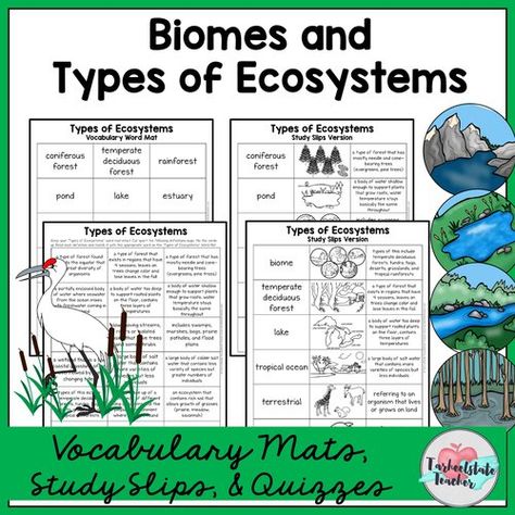 FREE RESOURCE LIBRARY-Tarheelstate Teacher Ecology Lessons Middle School, Ecosystem Bulletin Board, Ecosystems 4th Grade, Types Of Ecosystems, Ecology Activities, Teaching Ecosystems, Kingdom Classification, Ecosystem Activities, Cells Worksheet