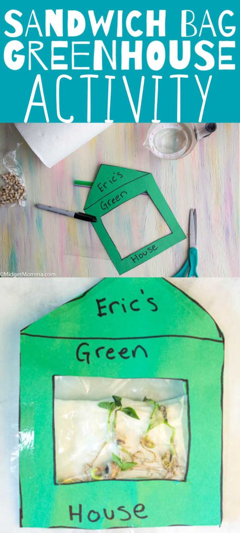 Teach the kids how plants grow with this DIY Sandwich Bag Green House kids activity. All you need is a bean or seed, paper towel and a ziplock baggie. We have an awesome printable greenhouse and worksheet set to go along with it to make it an educational learning lesson for the kids if you want to. Plant A Seed Activity, Stem Gardening Activities, Plant A Bean Preschool, All About Plants Preschool Activities, Bean Growing For Kids, Planting Seeds In Ziploc Bags, Green House Craft, Growing Seeds In A Bag, Kids Seed Planting Activity