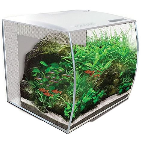 Fluval Flex Aquarium Tanks, Aquarium Store, Fish Bowls, Reef Tanks, Fresh Water Fish Tank, Glass Aquarium, Nano Aquarium, Aquarium Supplies, Betta Fish Tank