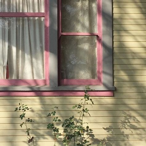 muslimahwritings | VSCO Fluttershy, Lock Screen, Aesthetic Photo, The Window, Pink Aesthetic, Pretty Pictures, A House, A Cat, Mood Boards