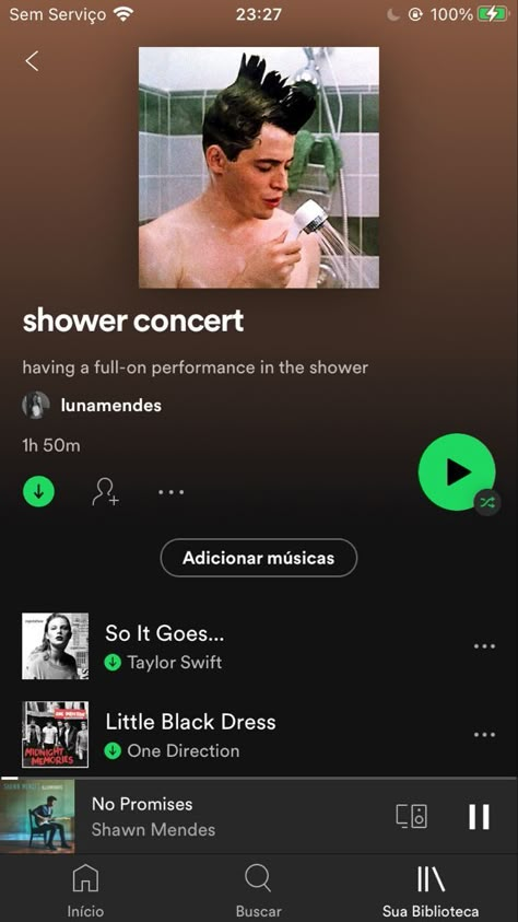 Shower Concert, Spotify Playlists Ideas, Spotify Playlist Names Ideas, Specific Spotify Playlists, Playlist Inspiration, Playlists Ideas, Indie Music Playlist, Playlists Spotify, Spotify Playlist Ideas