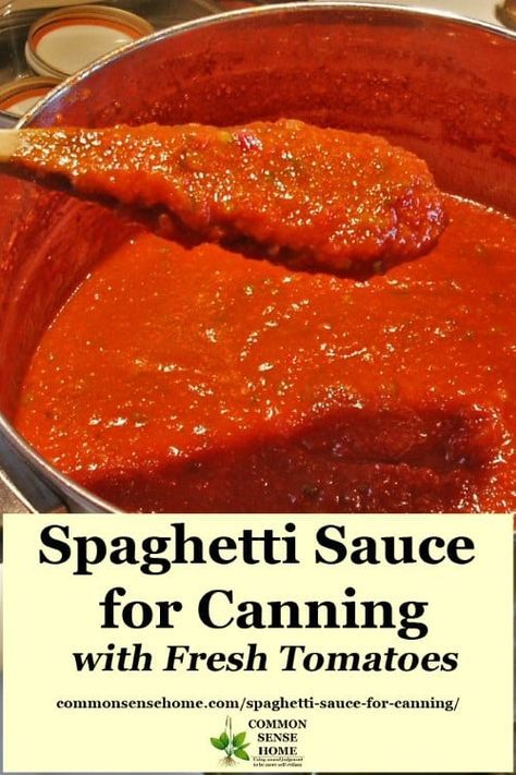 Spaghetti Sauce For Canning, Canning Spaghetti Sauce, Frozen Tomatoes, Spaghetti Sauce From Scratch, Best Homemade Spaghetti Sauce, Homemade Spaghetti Sauce Recipe, Freezing Tomatoes, Canned Spaghetti Sauce, Sauce Spaghetti