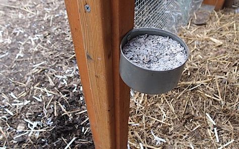 Tuna Can Feeder For Chicken Calcium Supplement Canned Oysters, Tuna Can, Fowl Language, Portable Chicken Coop, Chicken Feeders, Coop Ideas, Chicken Health, Best Chicken Coop, Egg Production