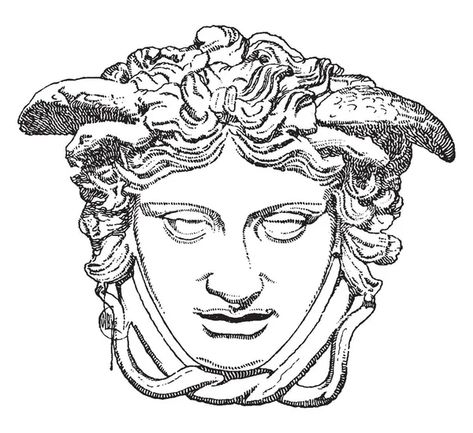 Medusa Illustration, Greek Medusa, Medusa Head, Stock Illustration, Female Sketch, Coloring Pages, Sign Up, Clip Art, Statue