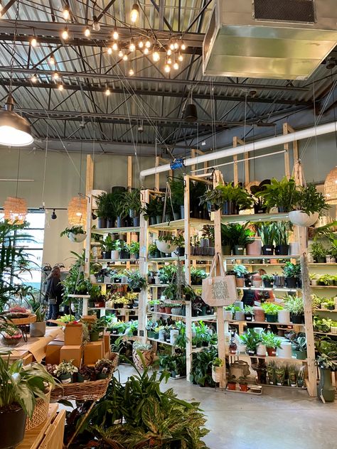 North Carolina Coffee Shops, Unc Charlotte Aesthetic, Raleigh North Carolina Aesthetic, Charlotte North Carolina Aesthetic, Charlotte Nc Aesthetic, Charolette North Carolina, Plant Shop Aesthetic, Nc Aesthetic, North Carolina Aesthetic