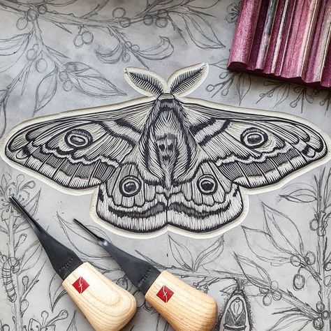 Lino Print Artists, Silk Moths, Silk Moth, Linocut Artists, Sublimacion Ideas, Devil Girl, Community Show, Lino Art, Moth Tattoo