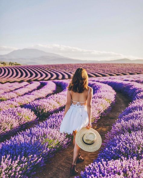 ✨ Bridestowe Lavender Estate, Tasmania, Australia ... by @kisforkani Lavender Field, Lavender Farm, Lavender Fields, Bohemian Fashion, Lavender Flowers, Australia Travel, Tasmania, Free Spirit, Straw Hat