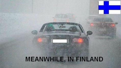 Meanwhile in Finland Meanwhile In Finland, Funny Facts, Bing Images, Funny Stuff, Really Funny, Finland, Humor, Memes, Funny