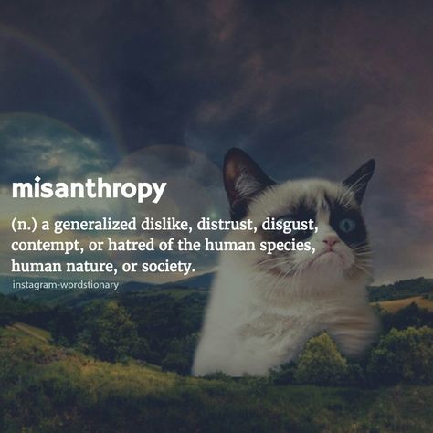 Misanthropy  Generalized dislike, distrust, disgust,contempt, or hatred of the human species, humam nature, or society. Humanity Quotes, Lost In Translation, Bad Dreams, Human Species, Human Behavior, Human Nature, Powerful Words, Learn English, Vocabulary