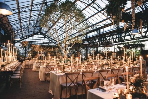 Planterra Conservatory Wedding, Forest Wedding Reception, Planterra Conservatory, Greenhouse Venue, Conservatory Wedding, Winter Wedding Venues, Winter Greenhouse, Enchanted Garden Wedding, Conservatory Garden