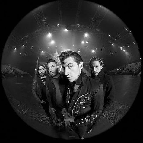 Monkey Icon, Arctic Monkeys Wallpaper, Alex Arctic Monkeys, Matt Helders, Alex Pics, Monkey Wallpaper, Monkeys Band, Monkey Pictures, The Last Shadow Puppets