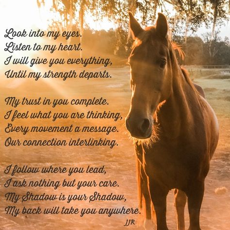 Horse poem quote Losing Your Horse Quotes, Poems About Horse Riding, Horse Poems, Losing A Horse Quotes Lost Words, Rescue Quotes, Old Horse Quotes, Cowboy Poetry, Horse Qoute Love, Sister Poems