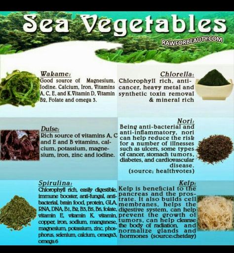 Why would anyone want to eat sea vegetables? Because they offer one of the broadest ranges of minerals of any food, containing virtually all the minerals found in the ocean—and not surprisingly, many of same minerals found in human blood. The also offer a variety of unique phytonutrients, including their sulfated polysaccharides (also called fucoidans). Unlike some other categories of vegetables, sea vegetables do not appear to depend on carotenoids and flavonoids for their antioxidant benefits, Sea Vegetables, Sources Of Vitamin A, Healing Food, Health Remedies, Raw Food Recipes, Vitamins And Minerals, Holistic Health, Superfoods, Health And Nutrition